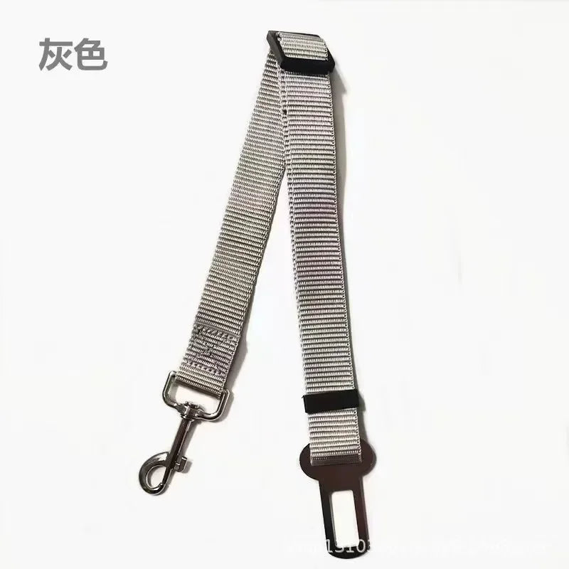 dog seat belt
