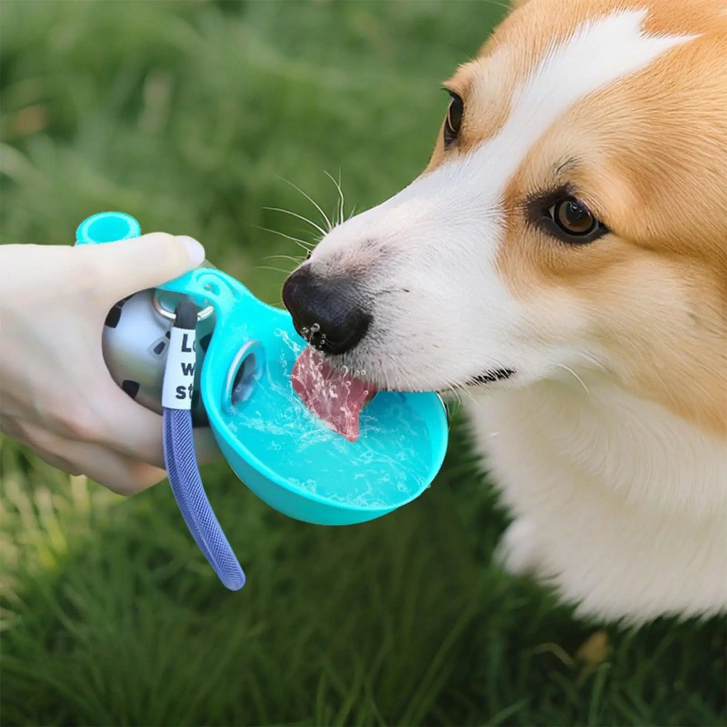 Water Cup for pet