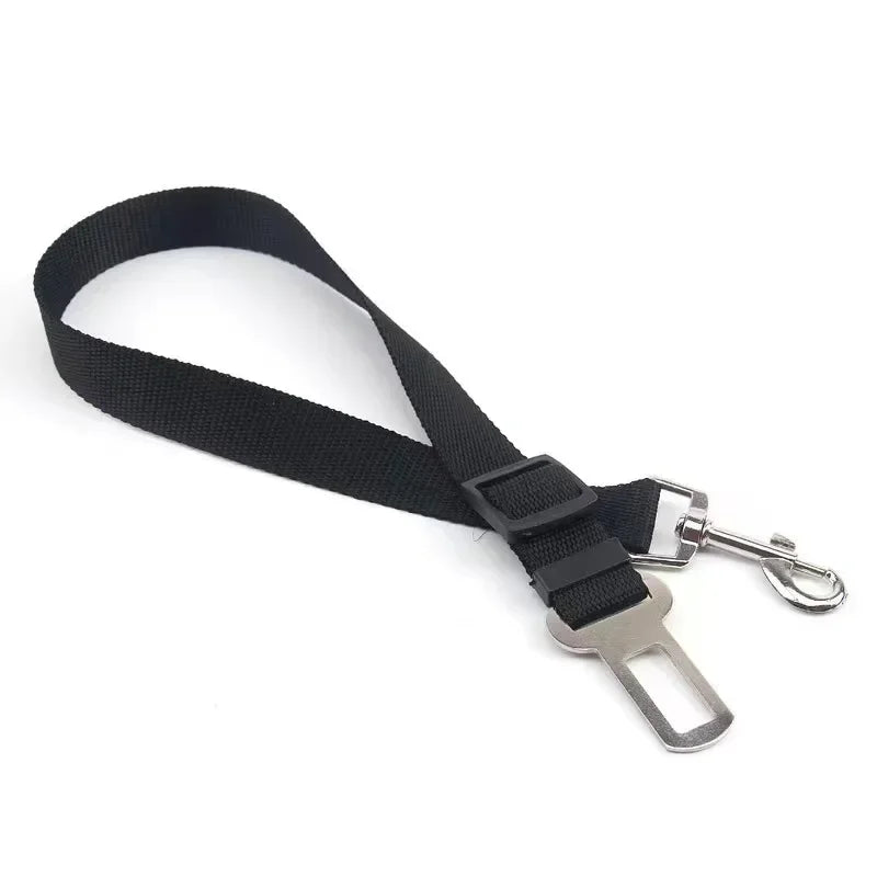 dog seat belt
