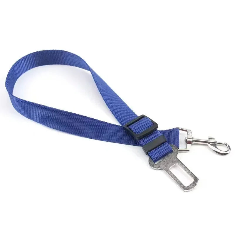 dog seat belt