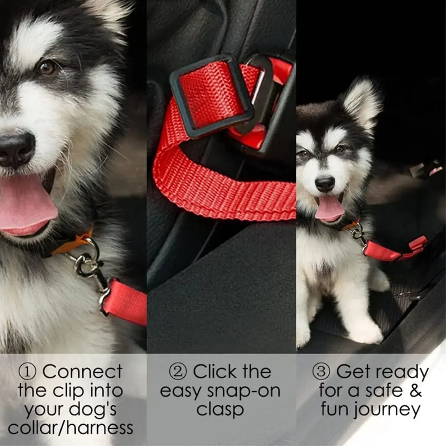 dog seat belt